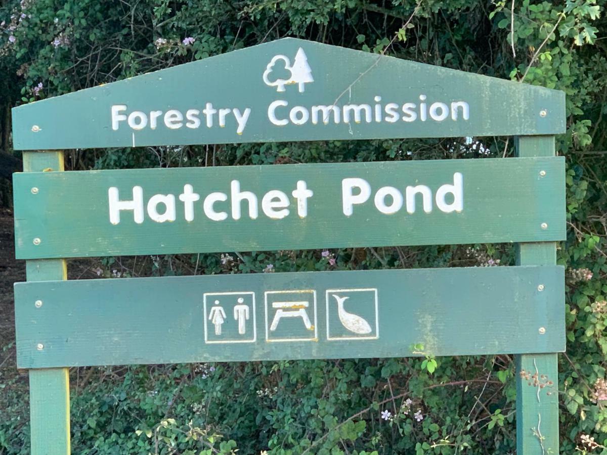 ニュー・ミルトンForest & Beach Access Naish Parkアパートメント エクステリア 写真