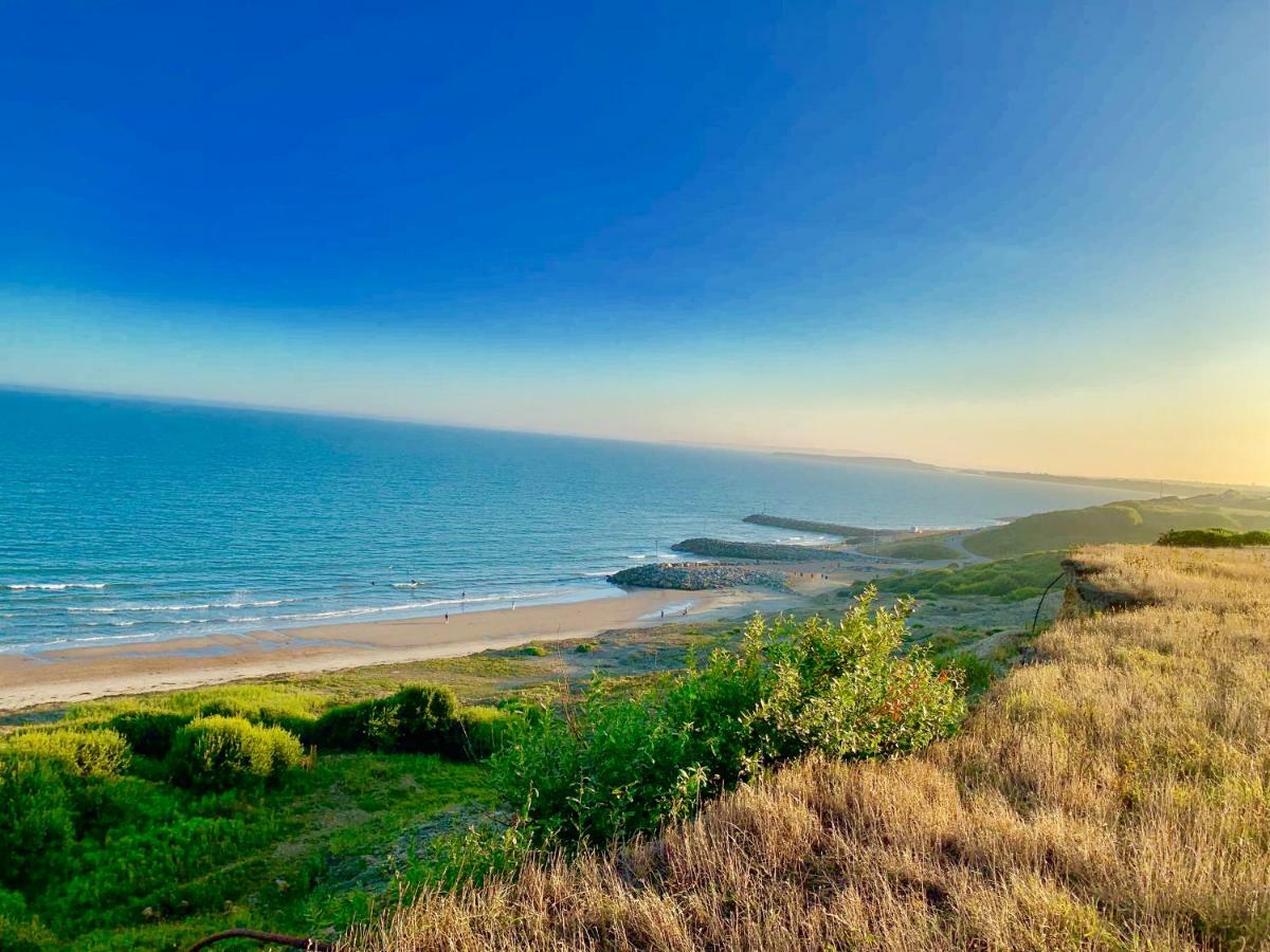 ニュー・ミルトンForest & Beach Access Naish Parkアパートメント エクステリア 写真