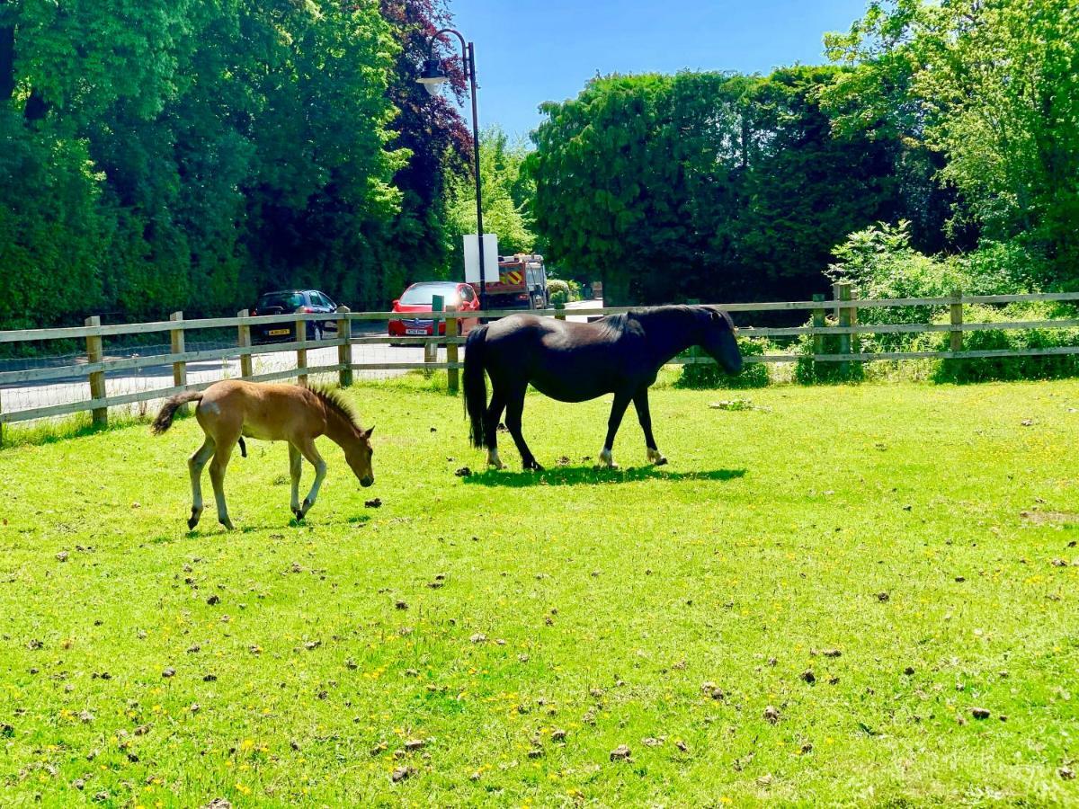 ニュー・ミルトンForest & Beach Access Naish Parkアパートメント エクステリア 写真
